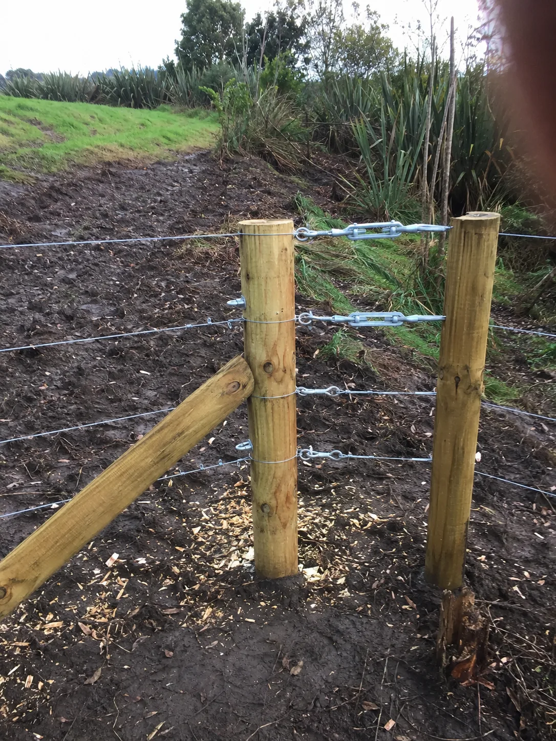 Farm & Rural Fencing project in Mount Maunganui, Tauranga