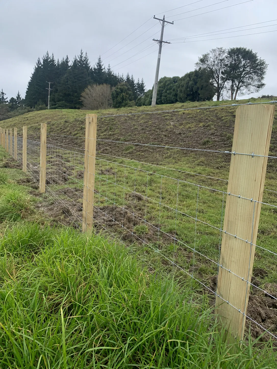 Sheep and Cattle Netting
