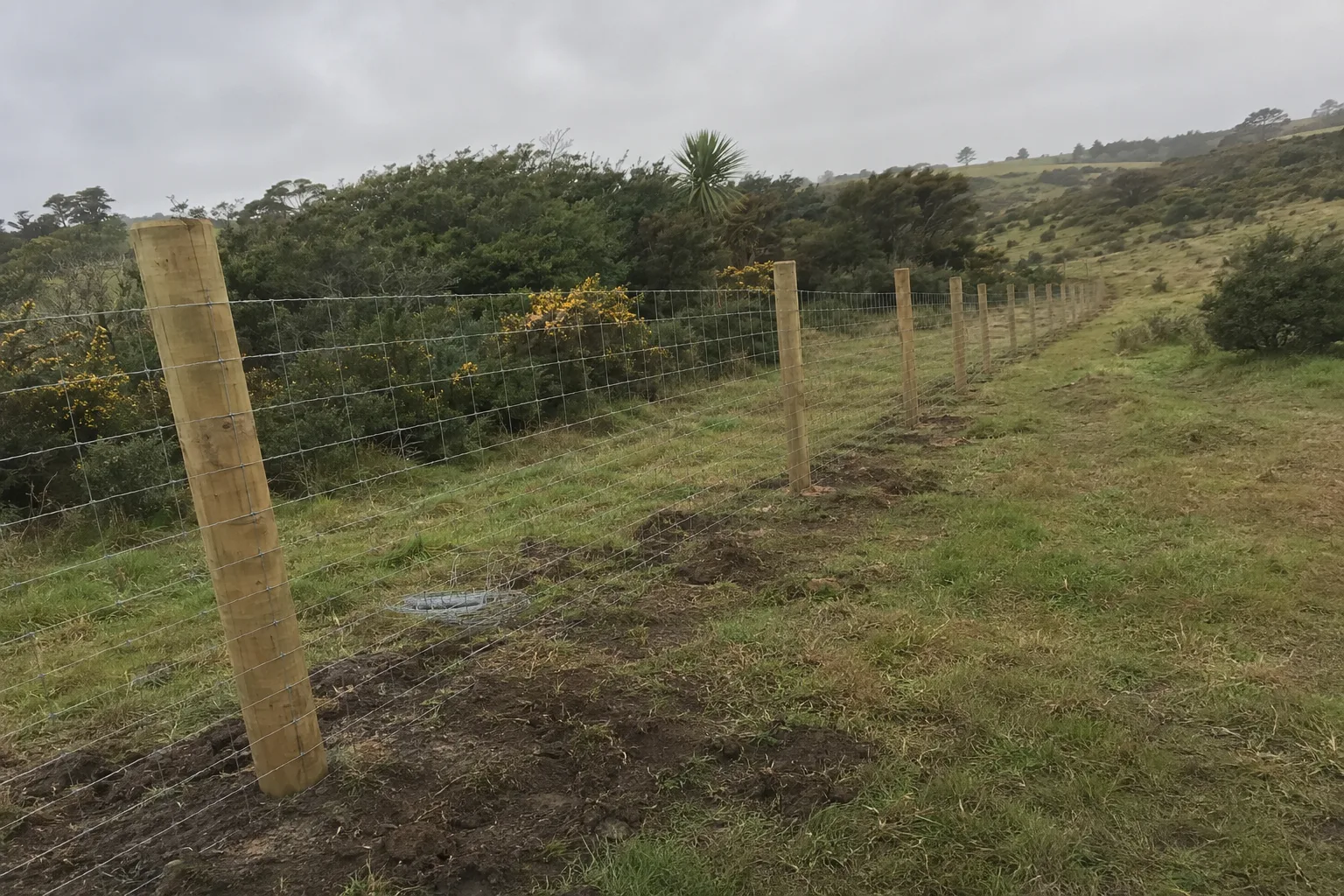 Deer and Stock-Proof Fencing
